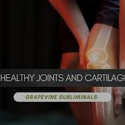 The Titan S Core Sapien Medicine