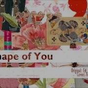 Shape Of You Cover Gay