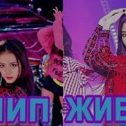 Как Blackpink Поют Без Фанограммы