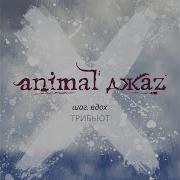 Amatory Думать Дважды Feat Animal Джаz