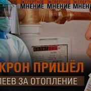 Чуйские Новости Красная Плесень
