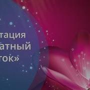 Медитация Ароматный Цветок