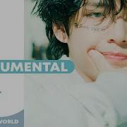 Bts On Instrumental