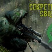 Секреты Группировки Свобода