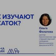 Ольга Филатова