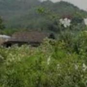 Bukit Berbunga Uci Bing Slamet