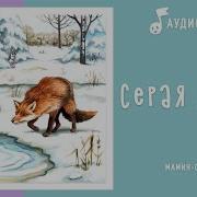 Серая Шейка Аудиосказка