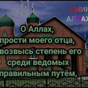 Не Забывай Умерших Родиьелей