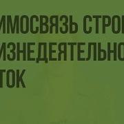 Взаимосвязь Строения И Жизнедеятельности Клеток Биология 10 Класс Инфоурок