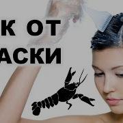 Обман Веществ С Максом Погорелым