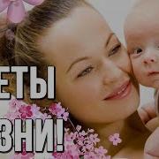 Дети Наши Цветы Жизни