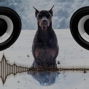 Zhu Jet The Doberman Bassboost