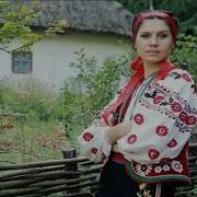 За Лісом Не Бачу За Вітром Не Чую Слова