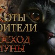 Коты Воители Восход Луны 8