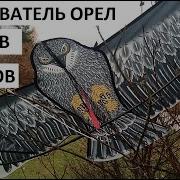 Отпугиватель Дроздов