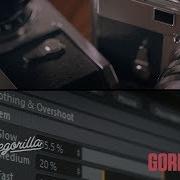 Gorilla 4D