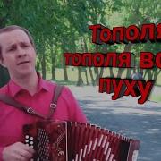 Тополя Тополя Все В Пуху Песня Под Гармонь Поёт Роман Ивонинский