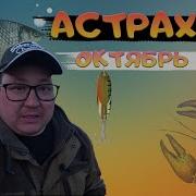 Александр Серов Донкин Ход