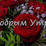 Красивые Пожелания С Добрым Утром