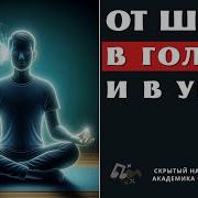 От Шума В Голове И Ушах Кванты