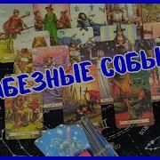 Мужика Для Званка