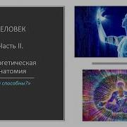 Рич Марк Энергетическая Анатомия