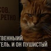 Детективы 2024 Русские Аудиокниги