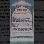 Дуба Окуу Кыргызча