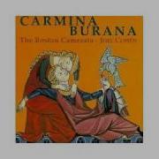 Carmina Burana Curritur Ad Vocem Boston Camerata Джоэл Коэн