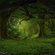 Celtic Music The Sylvan Realm