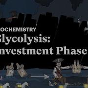 Pixorize Glycolysis