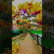 Ассалому Алайкум Хайрли Тонг