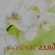 Футаж К Юбилею Свадьбы
