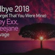 Goodbye Don T Forget That You Were Mine 2018