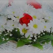 Футаж Букет Ромашки
