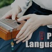 Pipa Language