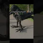Гули Гули Вафодор Гули