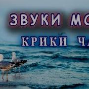 Звуки Моря И Чаек