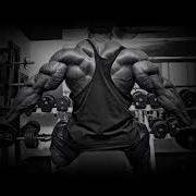 Powerful Myostatin Inhibitor Decrease Myostatin Increase Muscle Mass