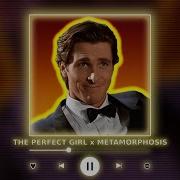 The Perfect Girl X Metamorphosis P4Nmusic Tiktok Mashup