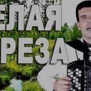 Вячеслав Абросимов Белая Береза