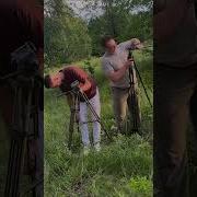 Березки Шансон