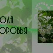 Если Ребенок Часто Болеет Лечение Профилактика Питание Закаливание Гимнастика