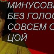 Совсем Один Минус