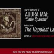 Audra Mae Little Sparrow