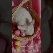 Открытки С Пасхой Красивые