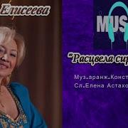 Елена Елисеева Расцвела Сирень Моя