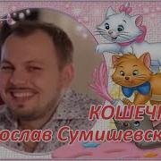 Сумишевский Кошечка
