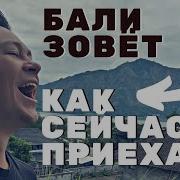 Уехать На Бали 2020