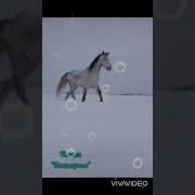 Бакытым Балаларым